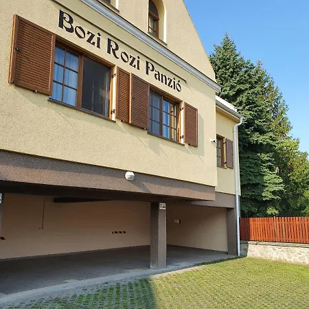 Bozi Rozi Panzio Guest house